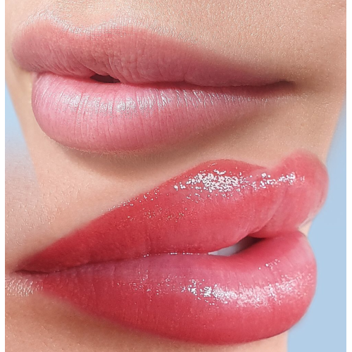 Everlasting PMU Lips Module LONDON